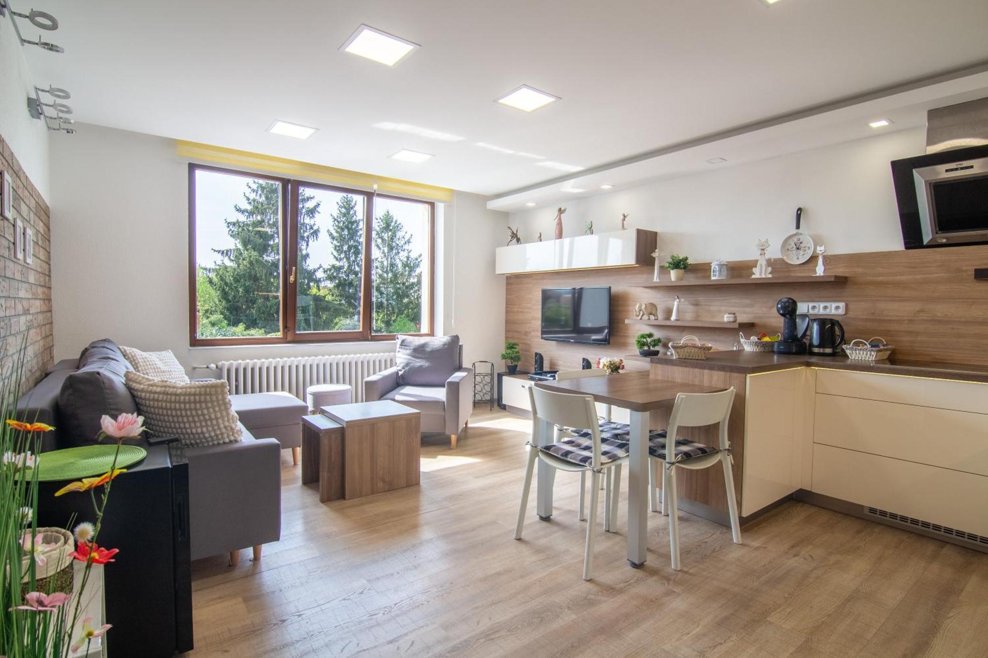 U Nas Doma Apartment *